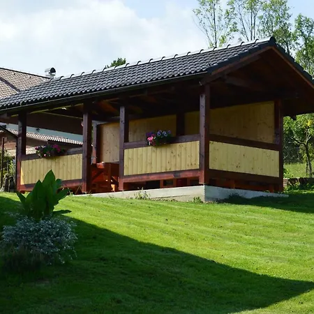 Lazon